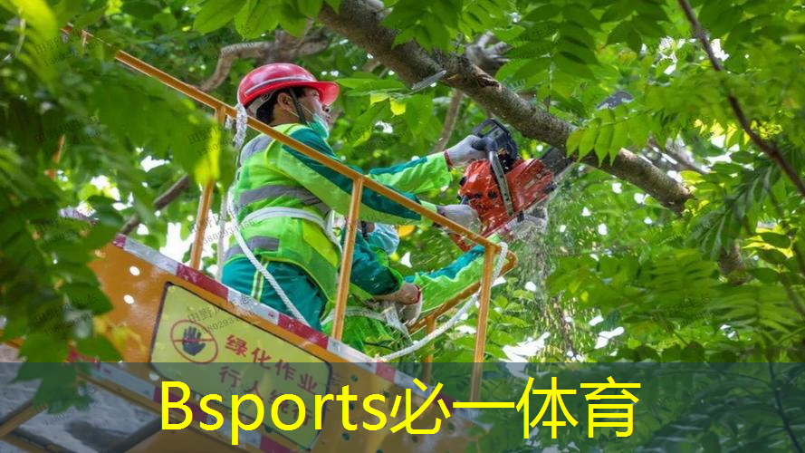 网球拍单人道具有哪些类型