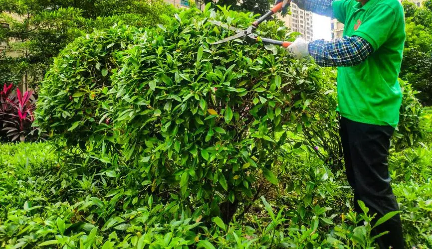 网球拍选择什么比较好打